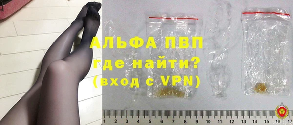 PSILOCYBIN Ростов