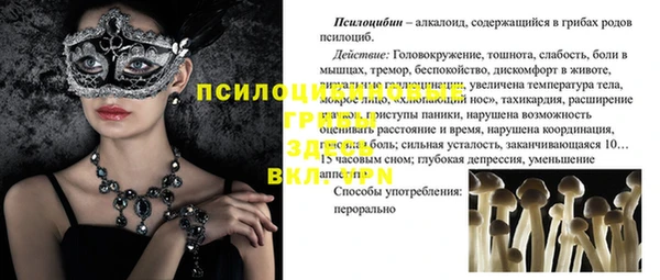 2c-b Абинск