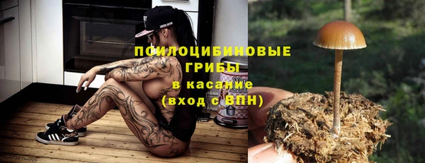 PSILOCYBIN Ростов