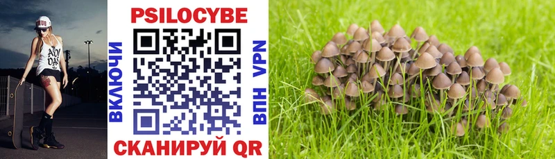 omg онион Белая Калитва Псилоцибиновые грибы мухоморы