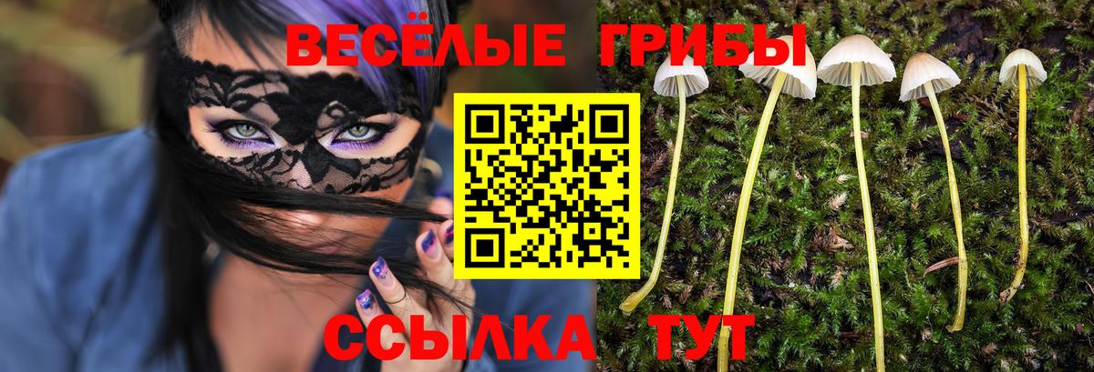 Галлюциногенные грибы Psilocybe  Вход с VPN  Белая Калитва 